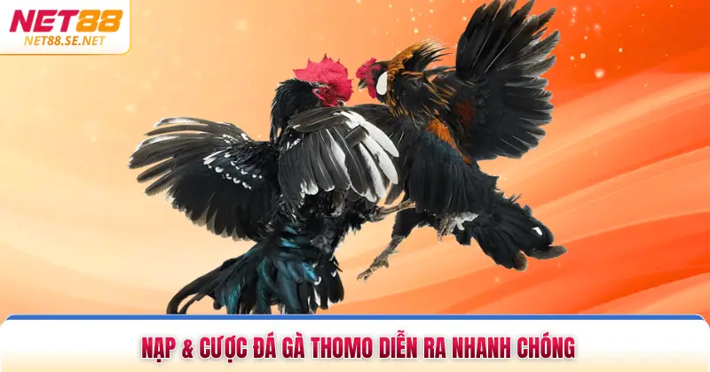 Nạp & Cược Đá Gà Thomo - Chỉ Dẫn Chi Tiết Lần Đầu Tiến Hành Nạp & cược đá gà Thomo diễn ra nhanh chóng